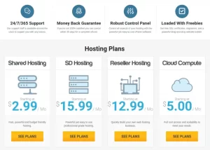 A Comprehensive Guide to Hosting with HawkHost