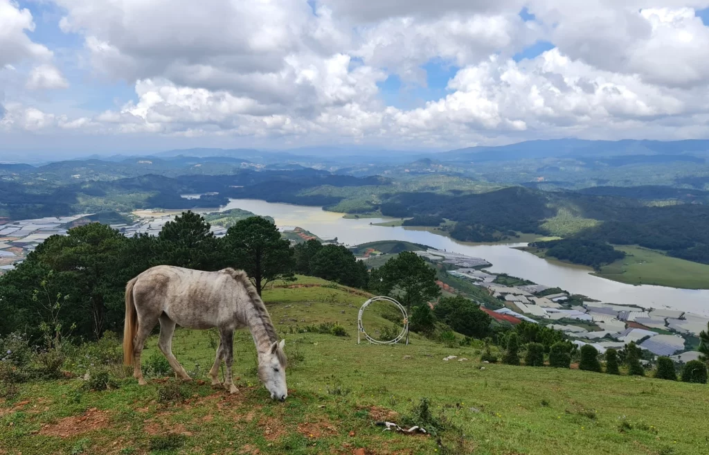 Exploring the Enchanting Langbiang Peak in Dalat: A Complete Guide for 2023