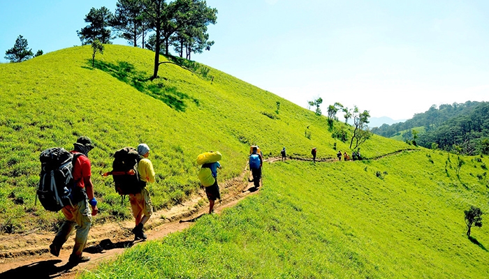 Exploring the Enchanting Langbiang Peak in Dalat: A Complete Guide for 2023